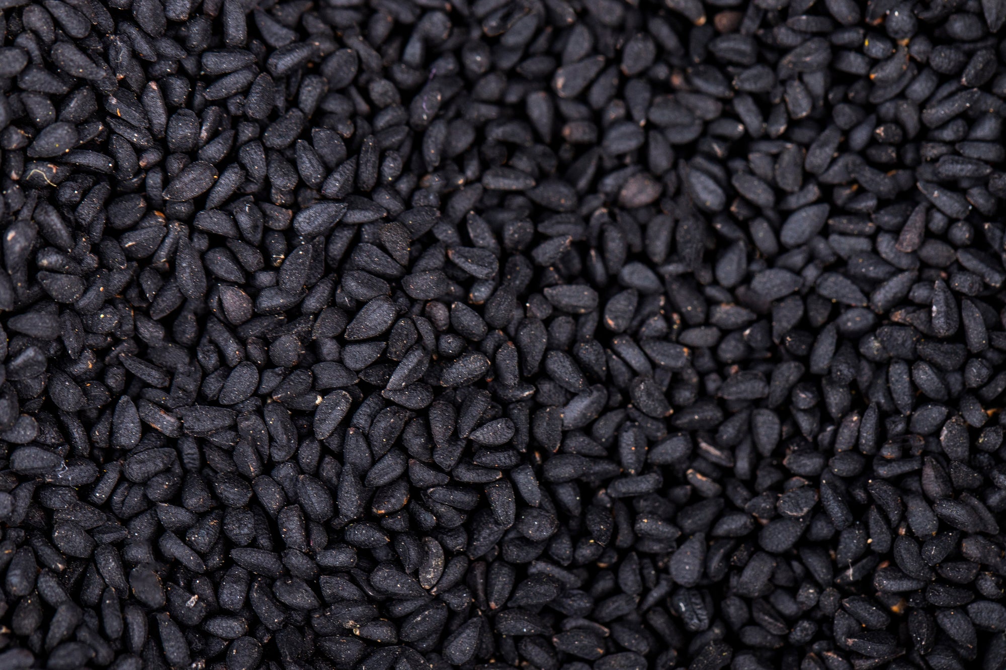 Top 5 Reasons Holistq Offers the Best Black Seed Oil for Health and Wellness