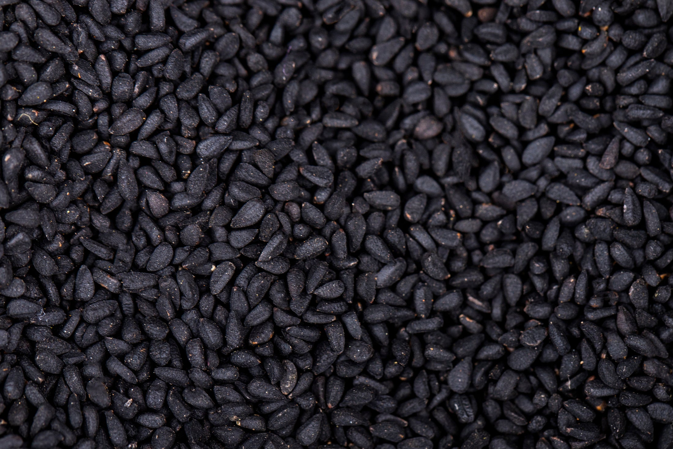 Top 5 Reasons Holistq Offers the Best Black Seed Oil for Health and Wellness