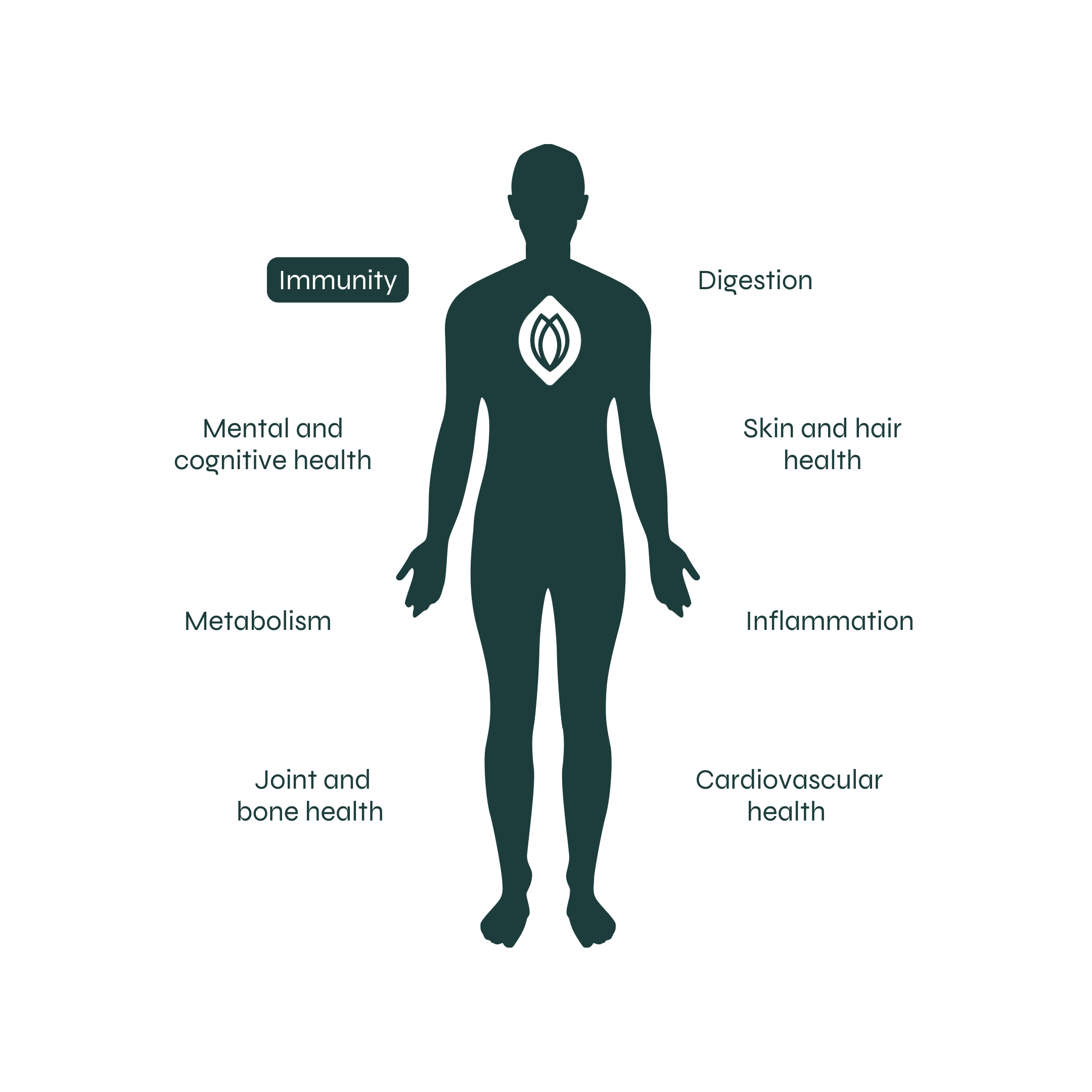 Strengthens your body's natural defenses.