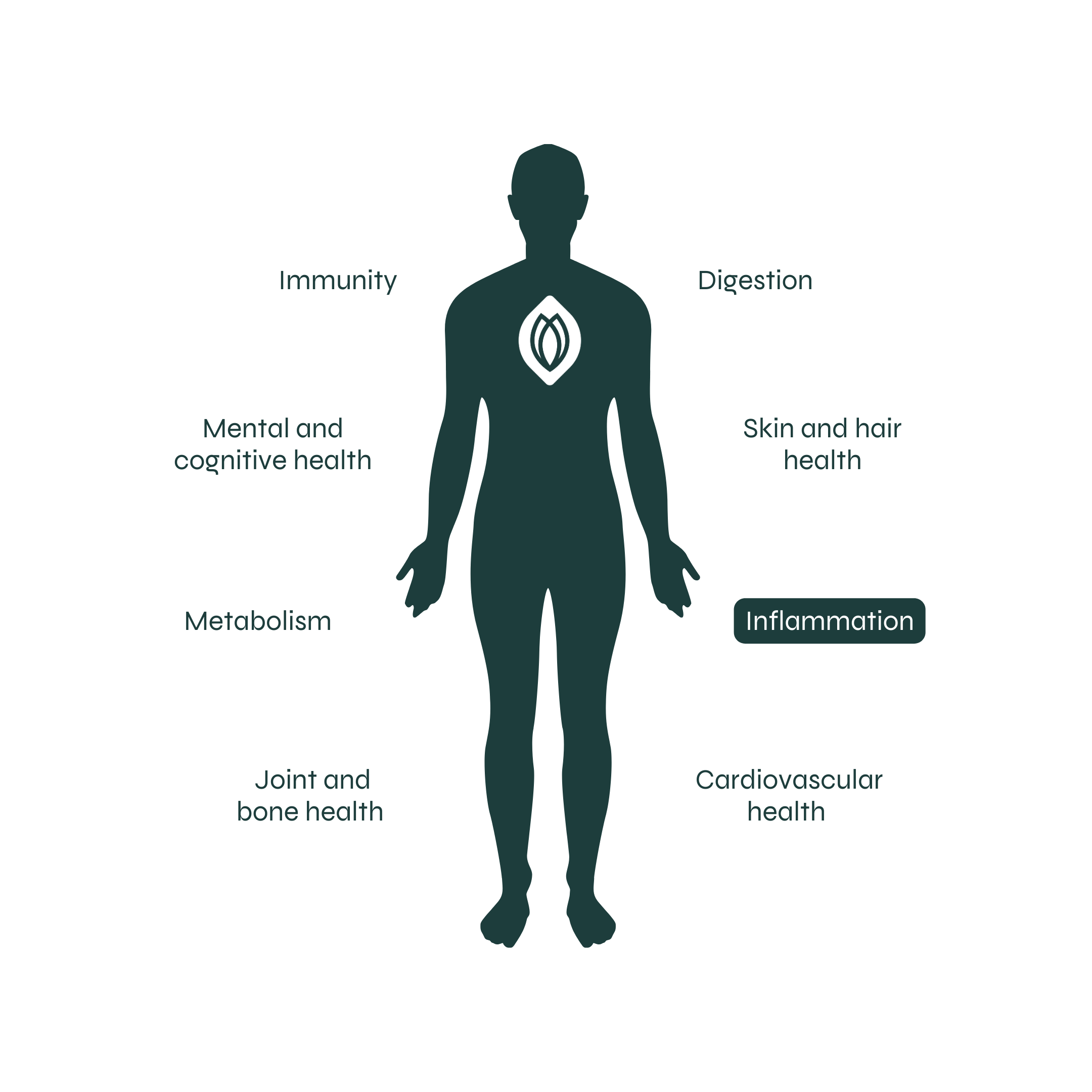 Reduces chronic inflammation for overall health and comfort.