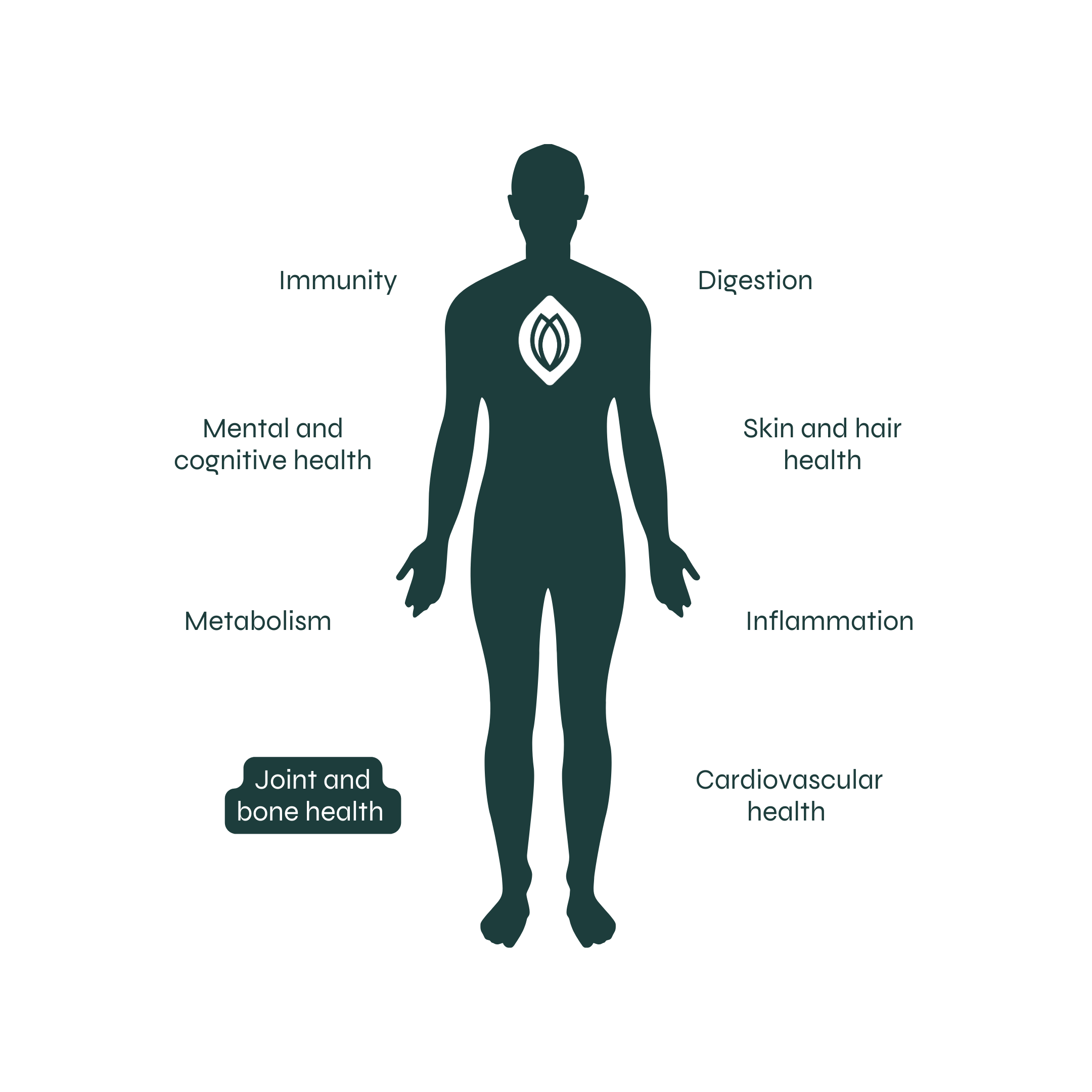 Alleviates pain and improves mobility.